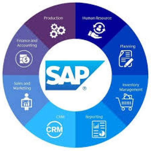 Learn to control the business power with SAP Training at Excellence Thrissur